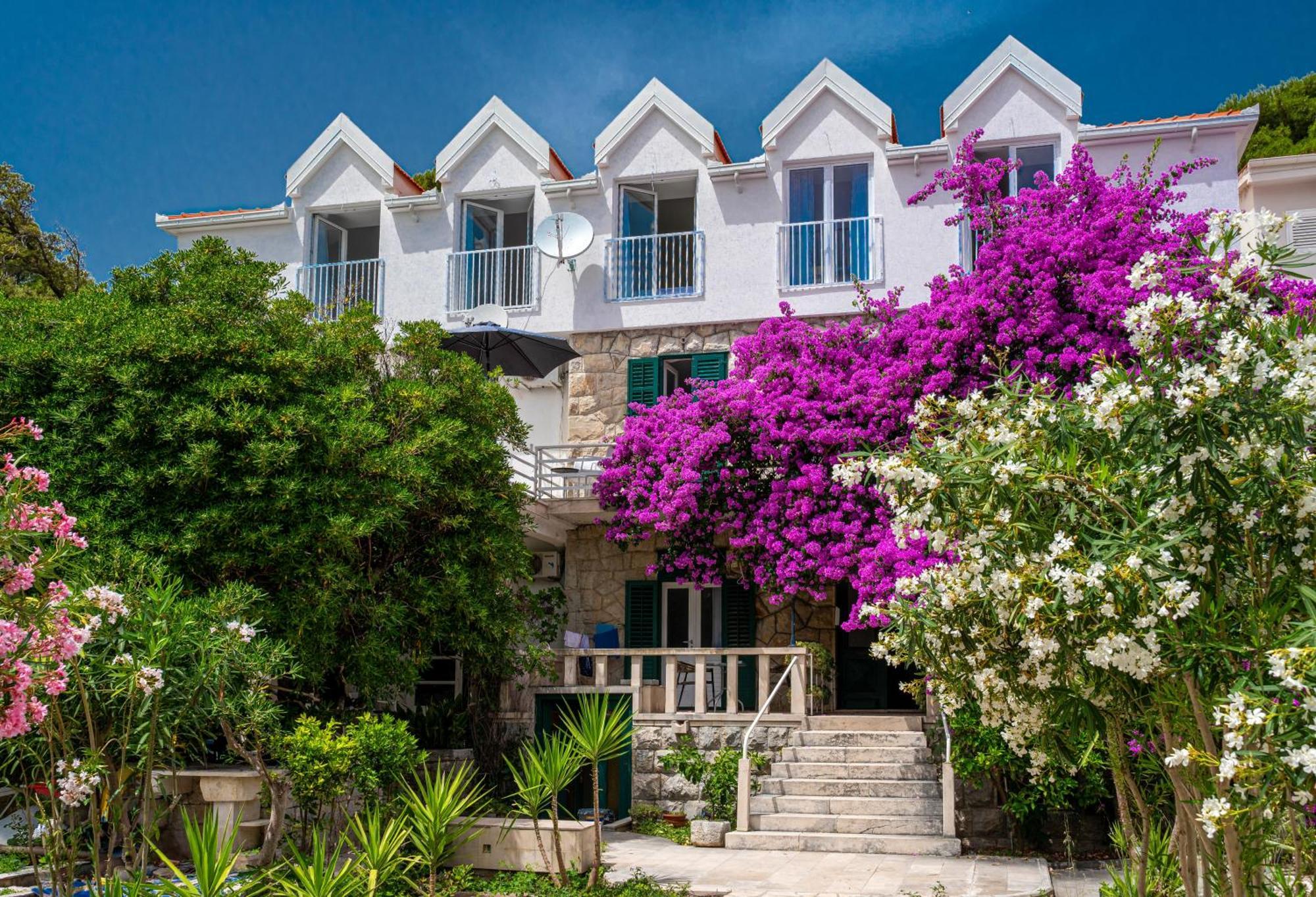 Aurora Beachfront Luxury Rooms&Suites Brela Eksteriør bilde